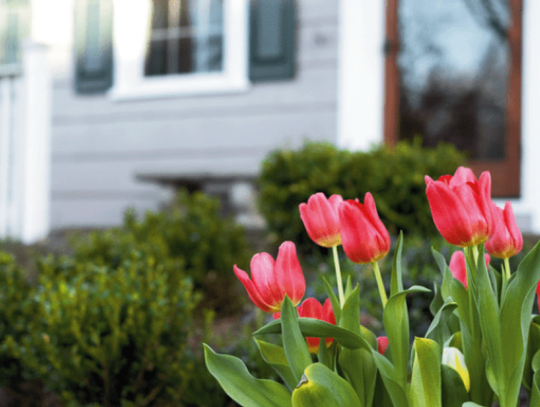 Ask a Real Estate Agent: April 2026 - Spring sellers have an edge. Here's why.