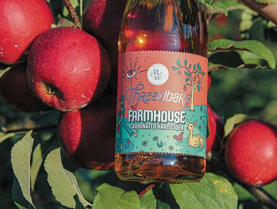 Business & Community Briefs: February 2025