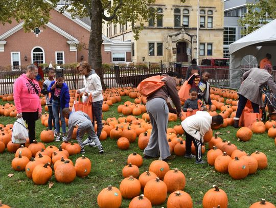 EACC holding smaller Halloween event as Pumpkinfest alternative
