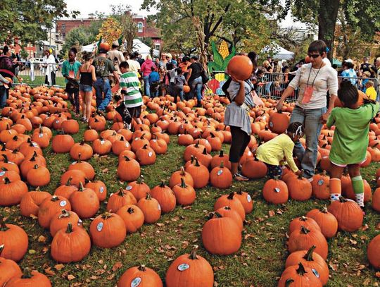 Get your spook on: 4 local Halloween events