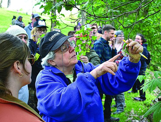 Hawthorn trees take spotlight at Riverview Park Arbor Day celebration