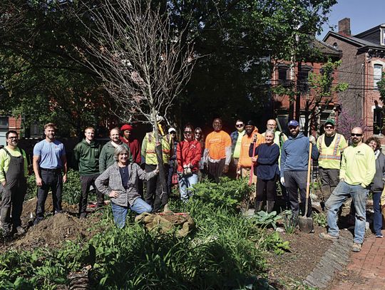 Mexican War Streets Society, with help, begins replanting of Mechanics’ Retreat