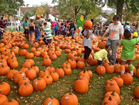 PREVIEW: 4 spookily fun events for October