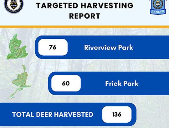 PREVIEW: Additional deer culling program piloted in Riverview Park