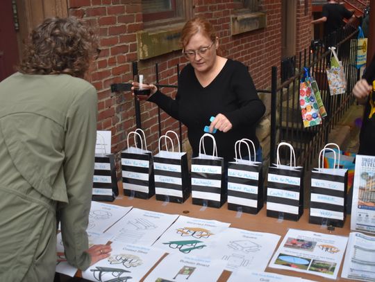 PREVIEW: CASGED fundraises for new park with community party