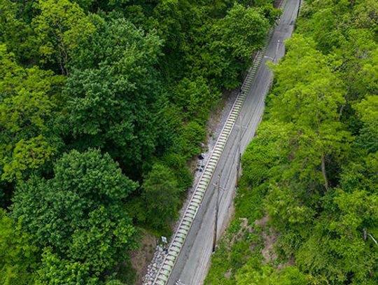 Vote now in the Anything Goes Photo Contest