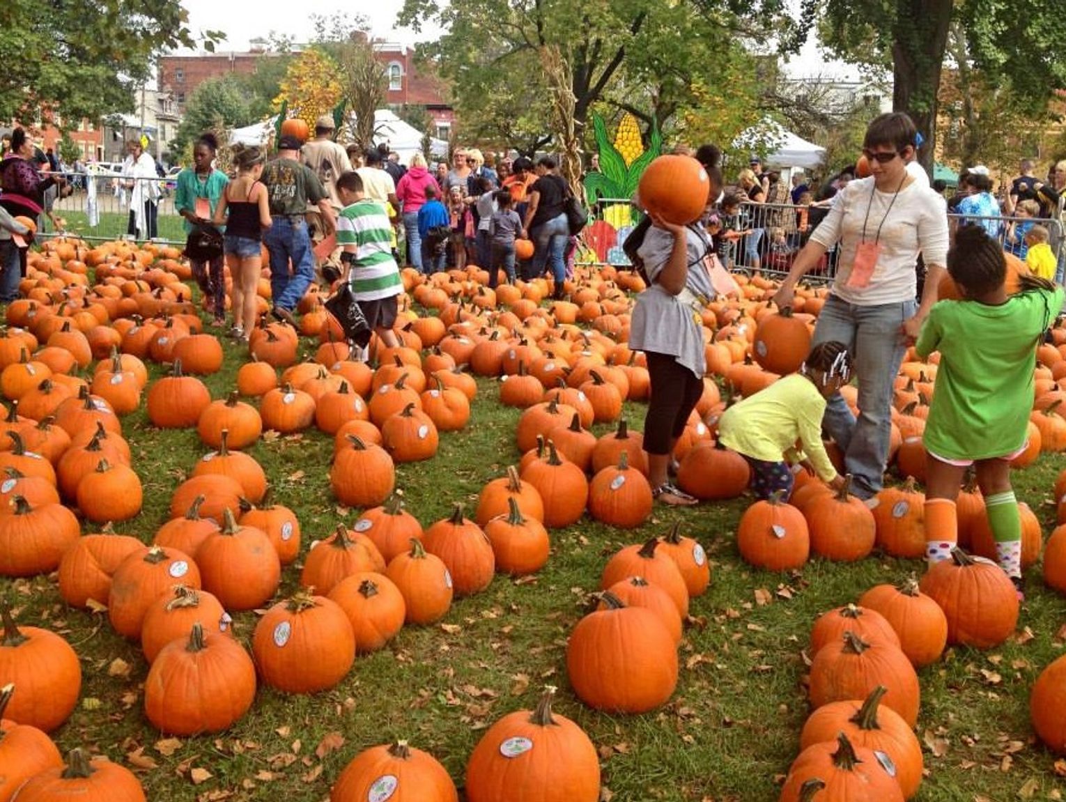 PREVIEW: 4 spookily fun events for October