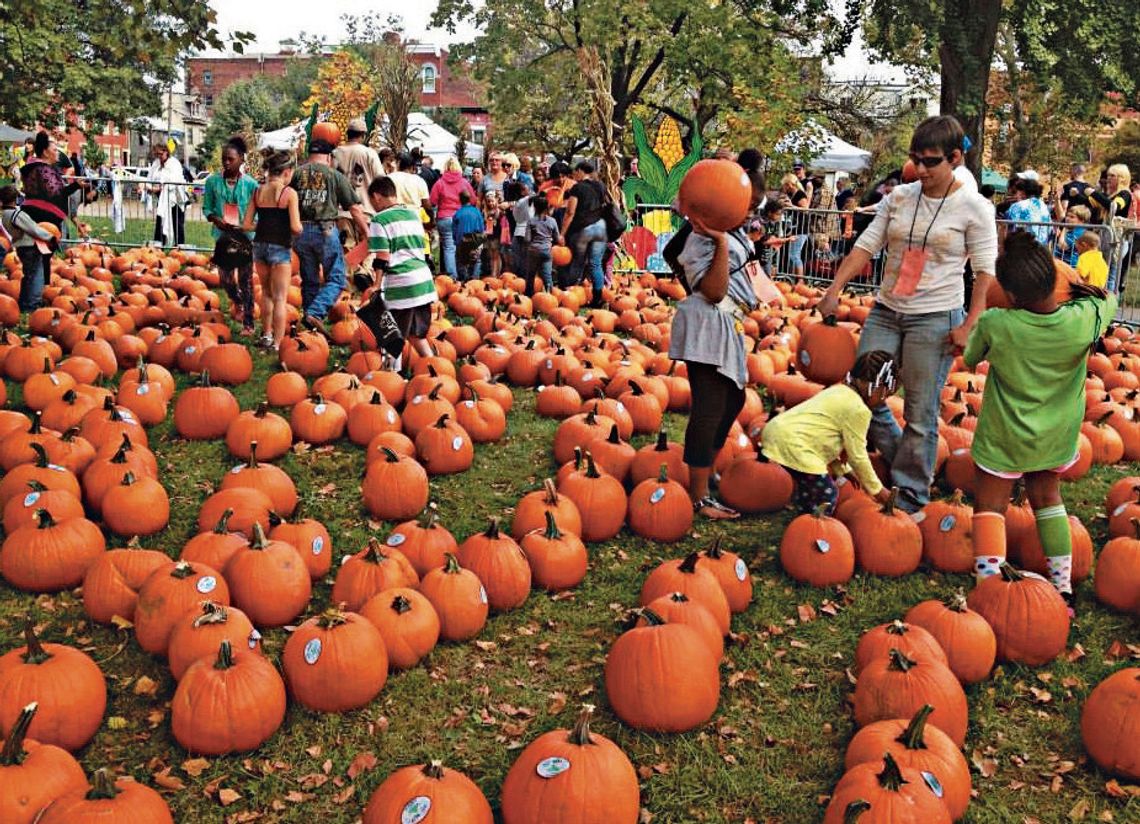 Get your spook on: 4 local Halloween events