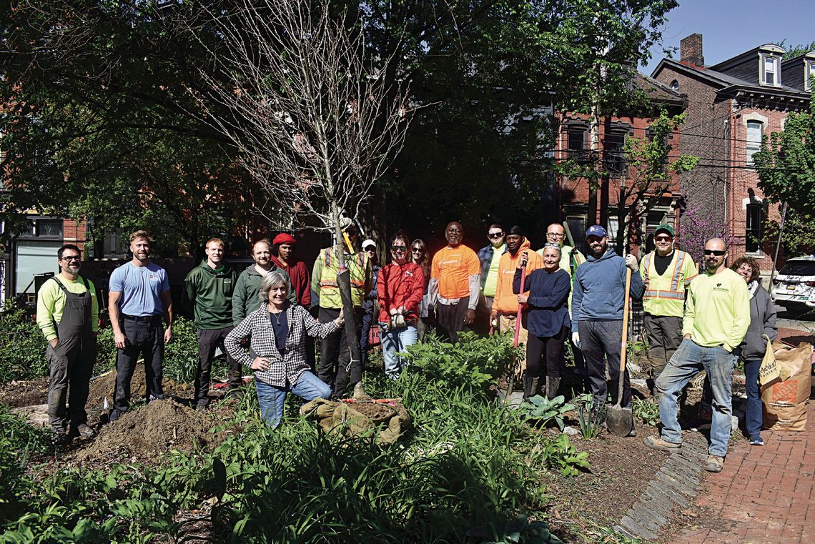 Mexican War Streets Society, with help, begins replanting of Mechanics’ Retreat Mexican War Streets Society, with help, begins replanting of Mechanics’ Retreat