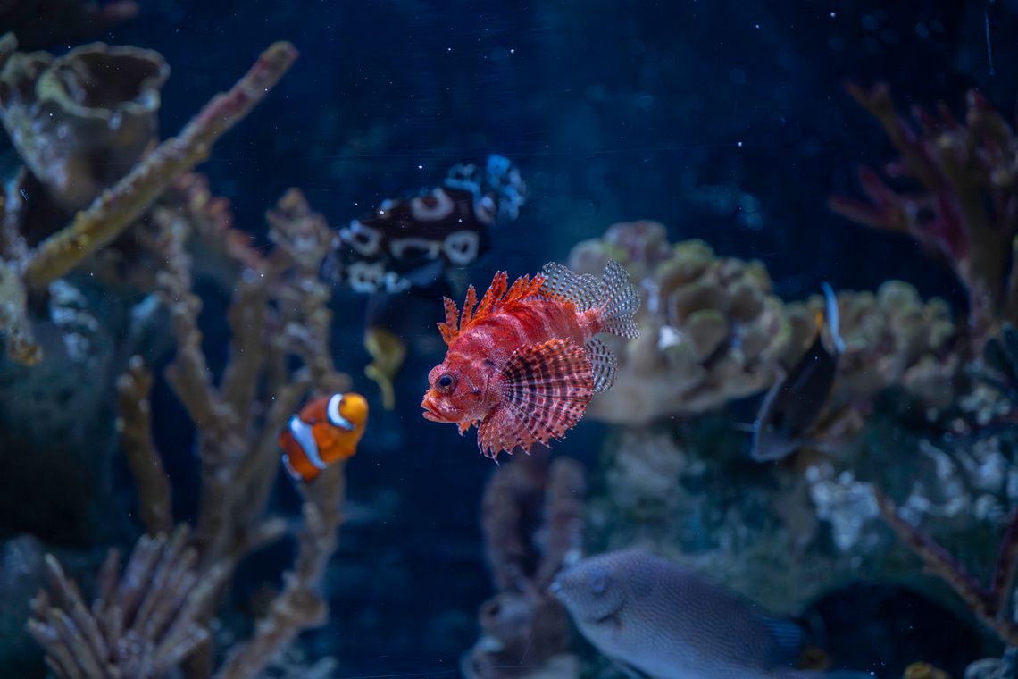 Northside Business & Community Briefs: April 2026