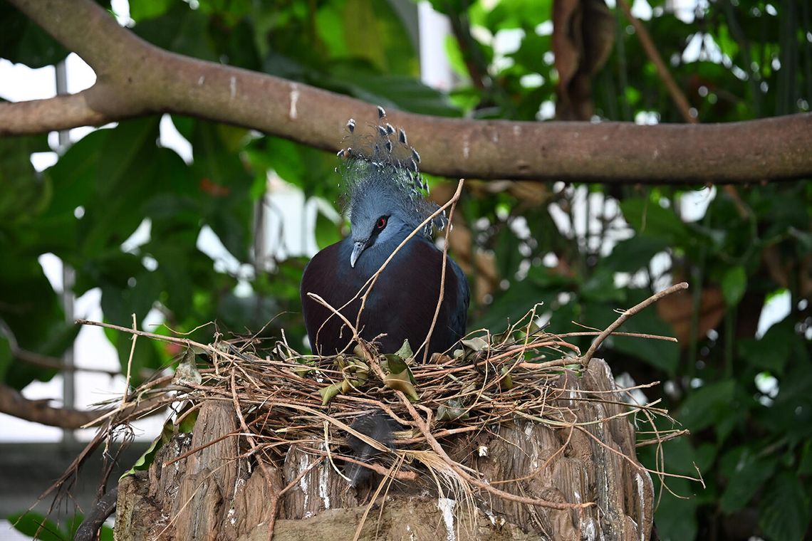 Northside Business & Community Briefs: Feb. 2026