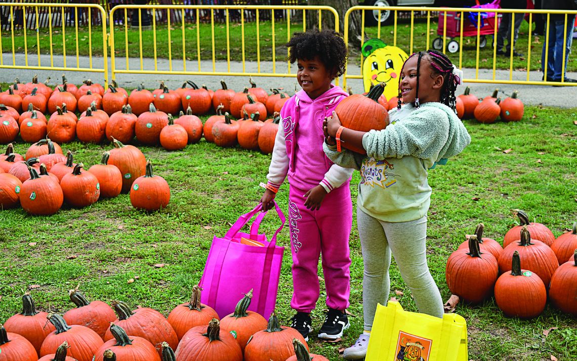 Northside Pumpkinfest cancelled for 2026, organizers hope to resume annual fall children’s festival next year Northside Pumpkinfest cancelled for 2026, organizers hope to resume annual fall children’s festival next year