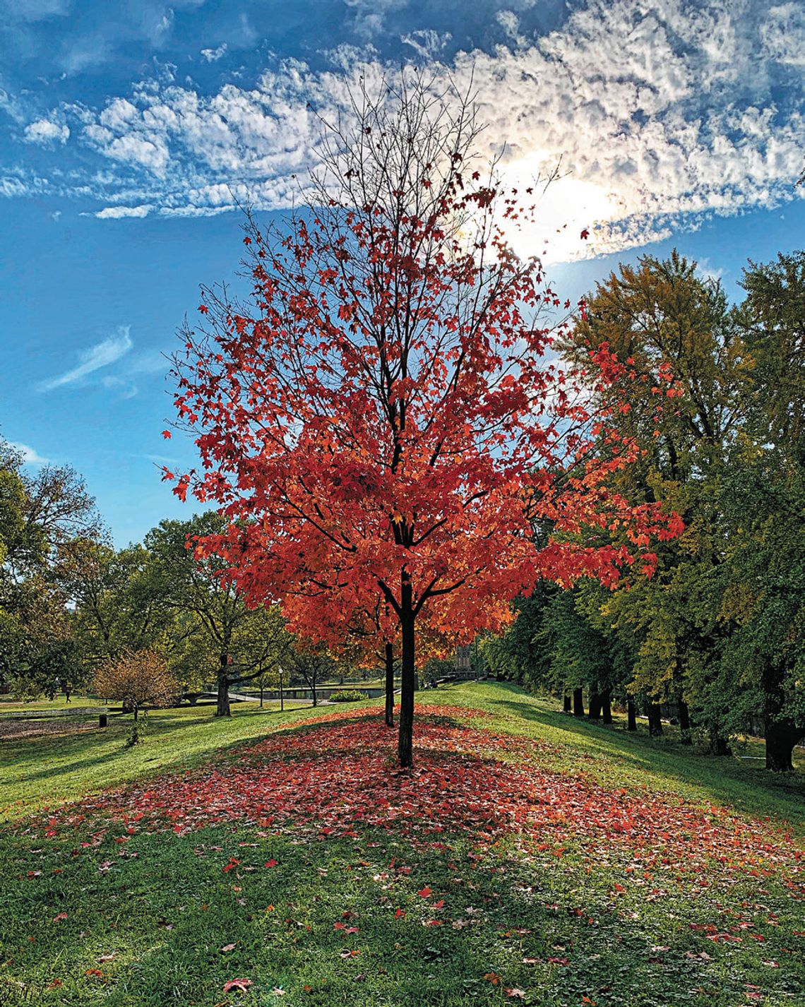 Preparing for the start of autumn with Ranger Stevie