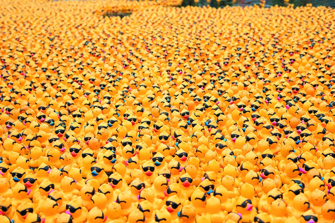 Steel City Duck Derby returns to Allegheny Commons Park