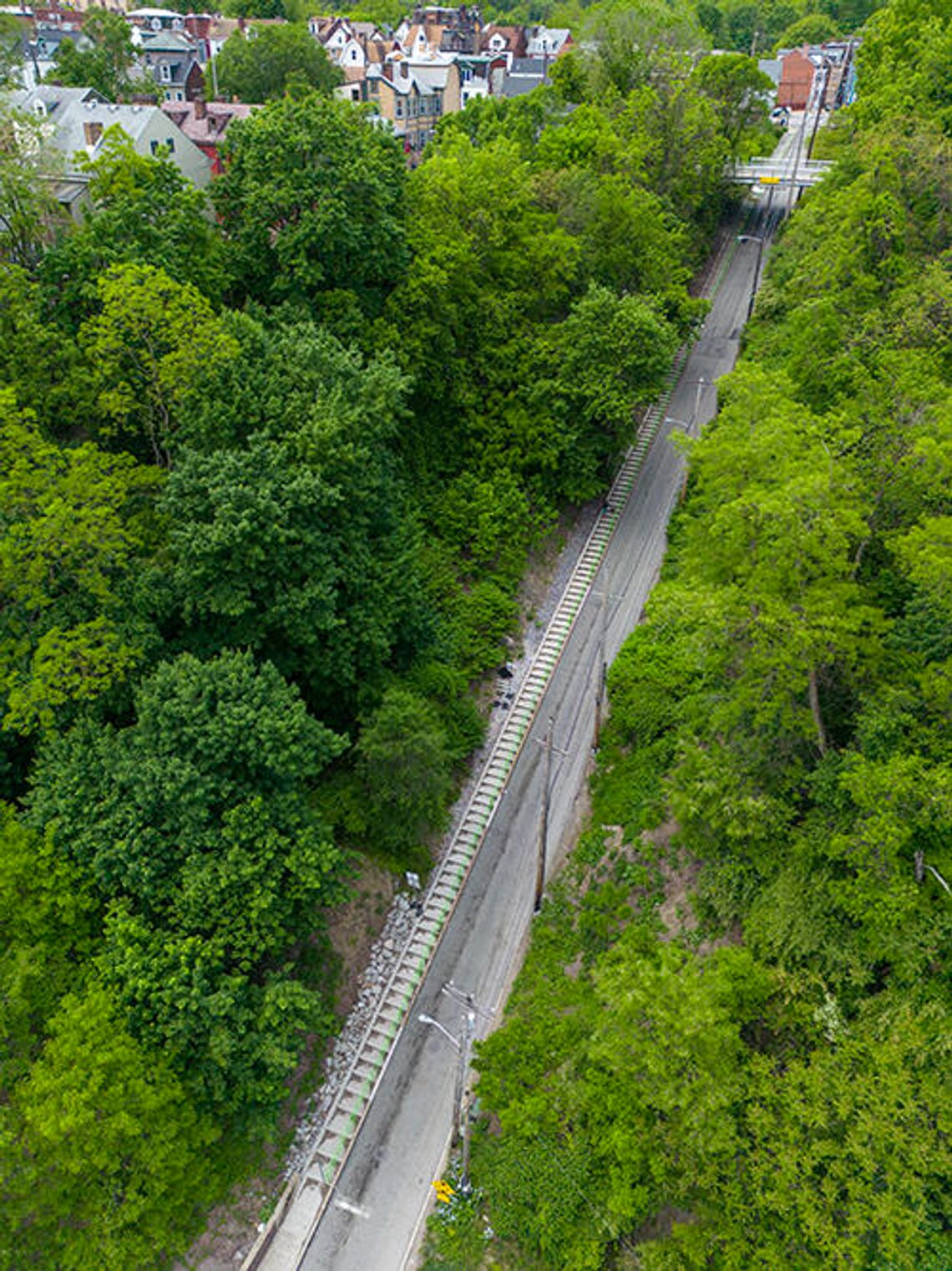 Vote now in the Anything Goes Photo Contest