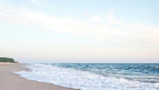 What are your summer vacation plans?
