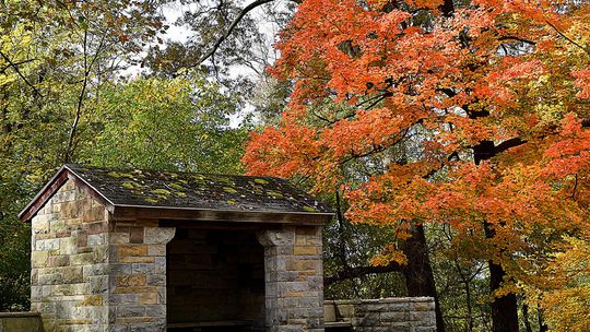 What do you consider the true start of fall?