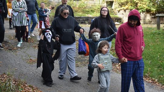 What's your favorite Halloween activity?