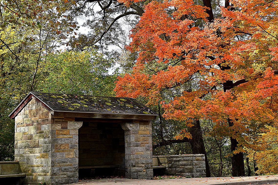 What do you consider the true start of fall?